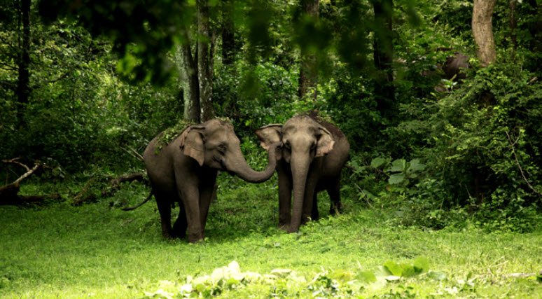 Bondoville Island Wildlife Sanctuary, North and Middle Andaman, Andaman and Nicobar Islands - Vushii.com